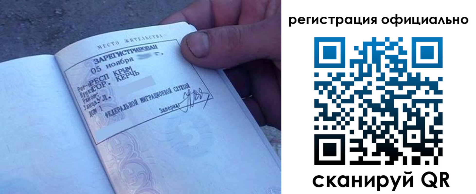 прописка 2025 в Елизово